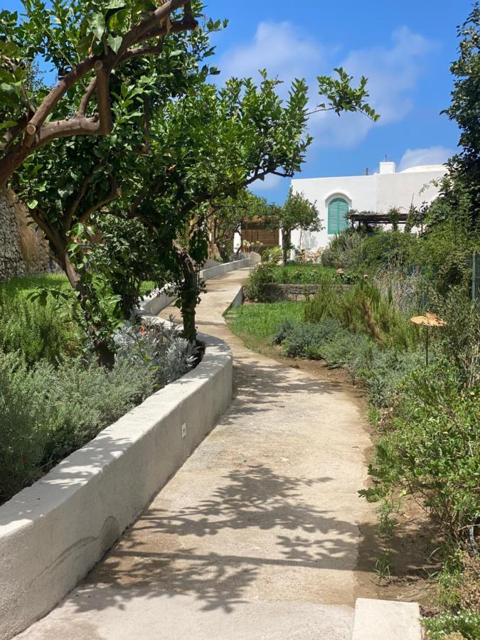 Capri Suite Marina Grande Bagian luar foto